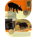 ESTUCHE TAPIR ANDINO (paquete de 10 estuches)